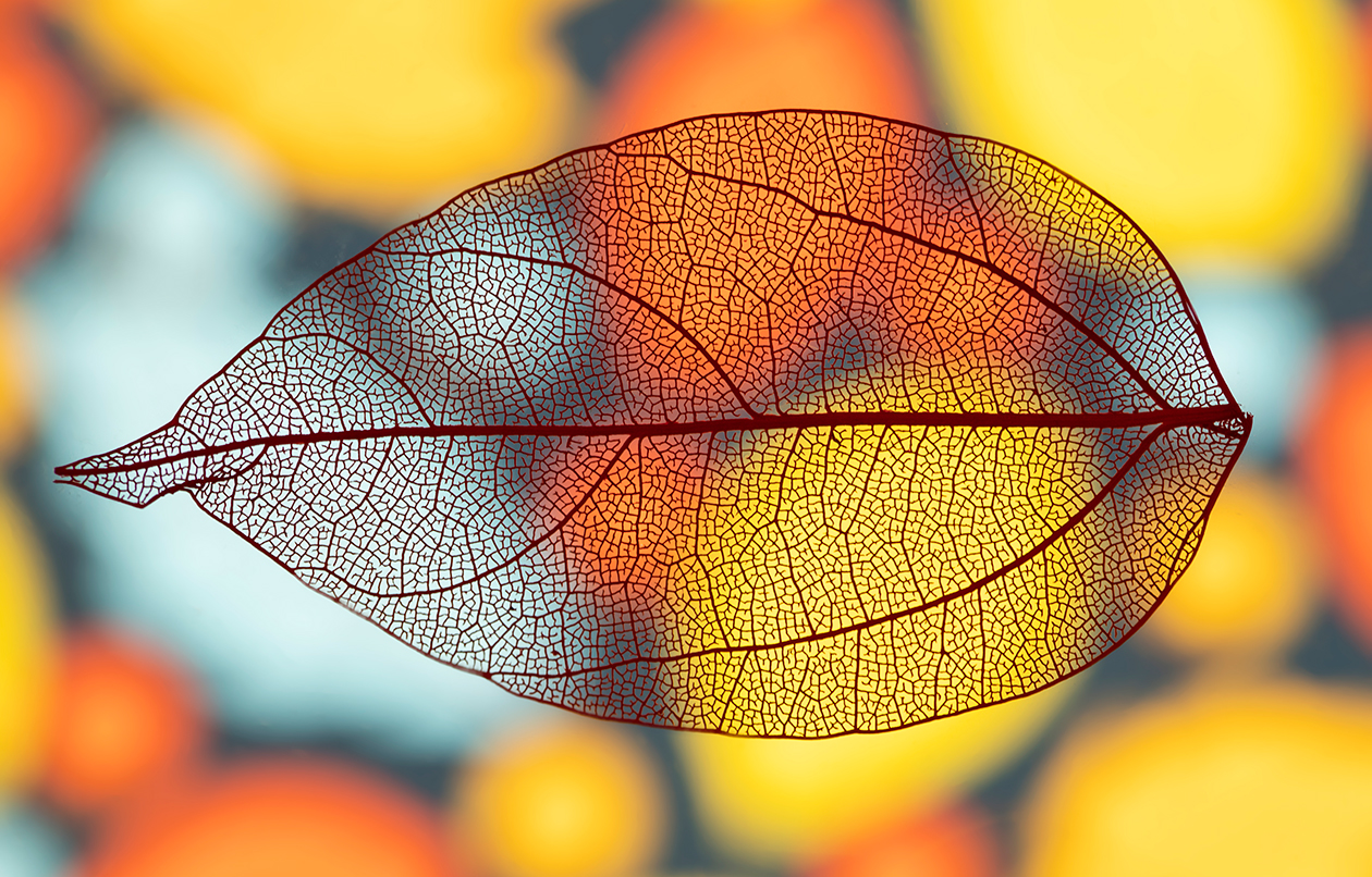 Işıklı - Işıksız Duratrans Baskılar